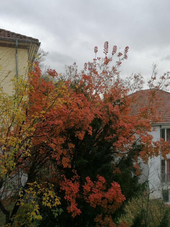 Gaestehaus Goethe-Institut Schwäbisch Hall Eksteriør billede